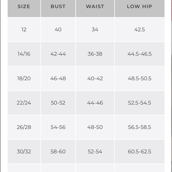 CACIQUE Floral embroidered lace chemise - Picture 6 of 9